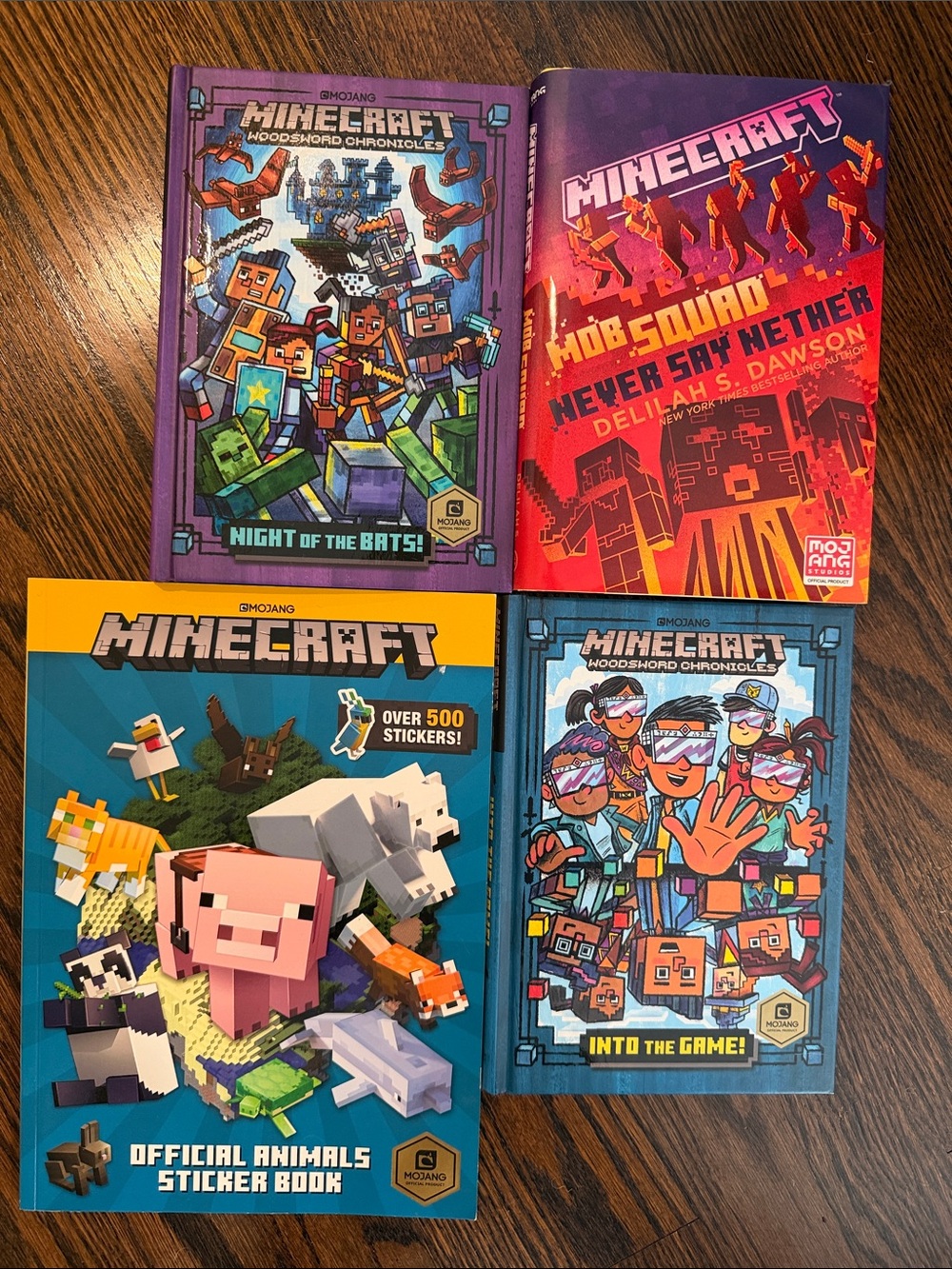 Minecraft Kids Book bundle